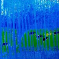 アンドレ・ブラジリエ（Andre Brasilier）