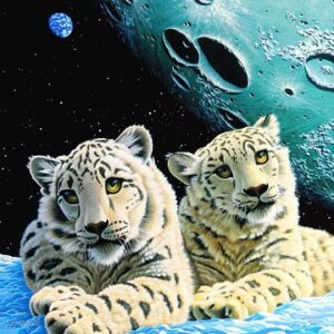 シム・シメール（Schim Schimmel）