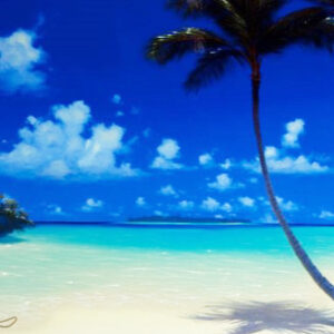 ジョン・アルホーグ（JOHN AL HOGUE）