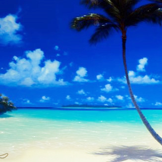 ジョン・アルホーグ　John al hogue』パラダイスビーチ　paradisebeach