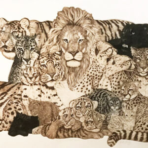 チャールズ・リン・ブラッグ（Charles Lynn Bragg）