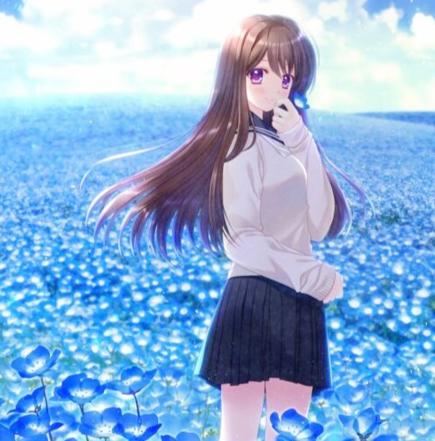 『西又葵　にしまた あおい 』NEMOPHILA