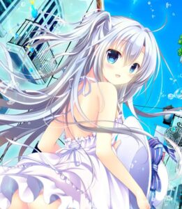 シロガネヒナ　「WINTER DREAM」