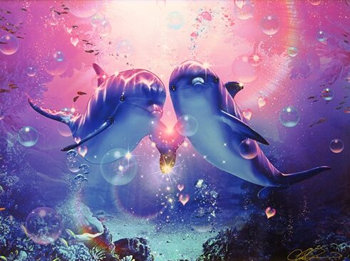 ドルフィンコンパニオン