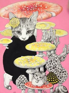 ネコとキノコ