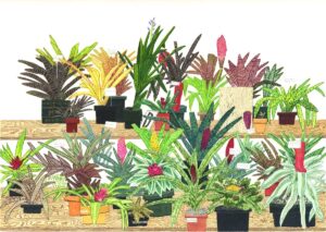 ブロメリアの静物画《Bromeliad Still Life》（2021）