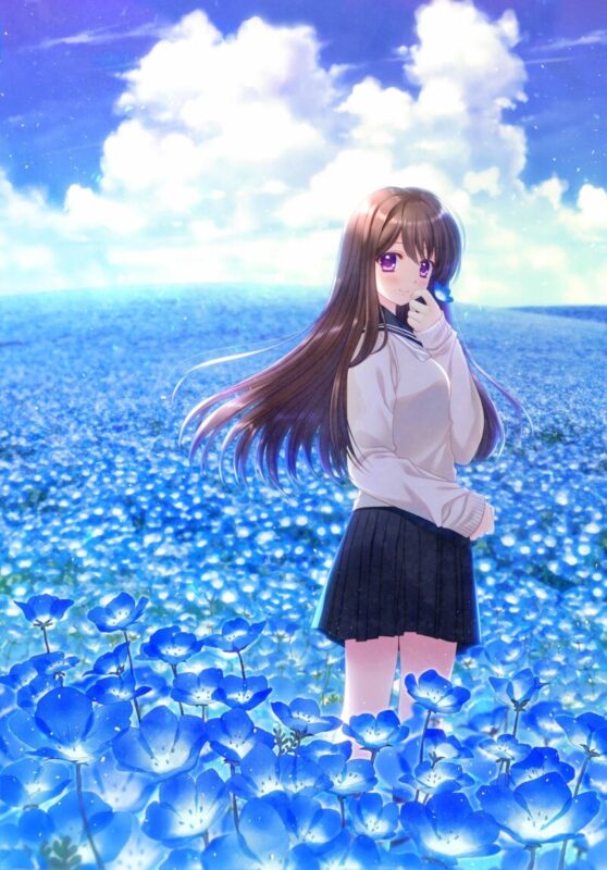 西又葵 『NEMOPHILA』