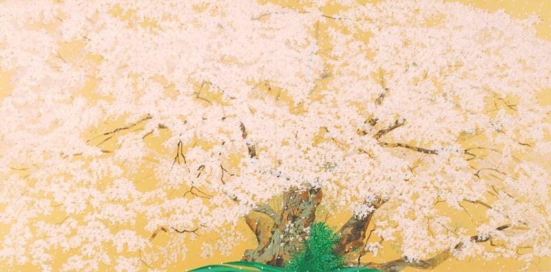 中島千波 一心行の櫻