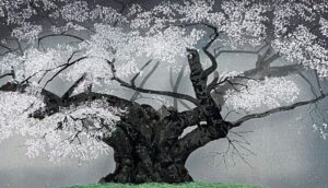 樹霊淡墨桜（じゅれいうすずみざくら）3 | アトリエケチャップ