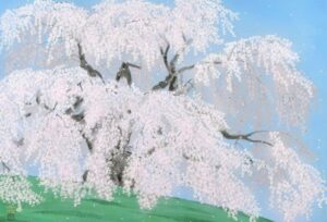 清穹三春の瀧櫻