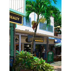 ハレイワ スーベニア アーケード 2010年