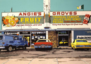 ANGIE'S GROVES 1988年