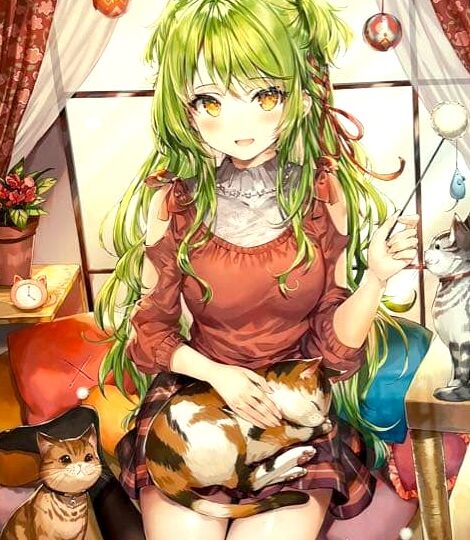 猫と縁
